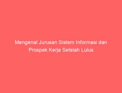 Mengenal Jurusan Sistem Informasi dan Prospek Kerja Setelah Lulus